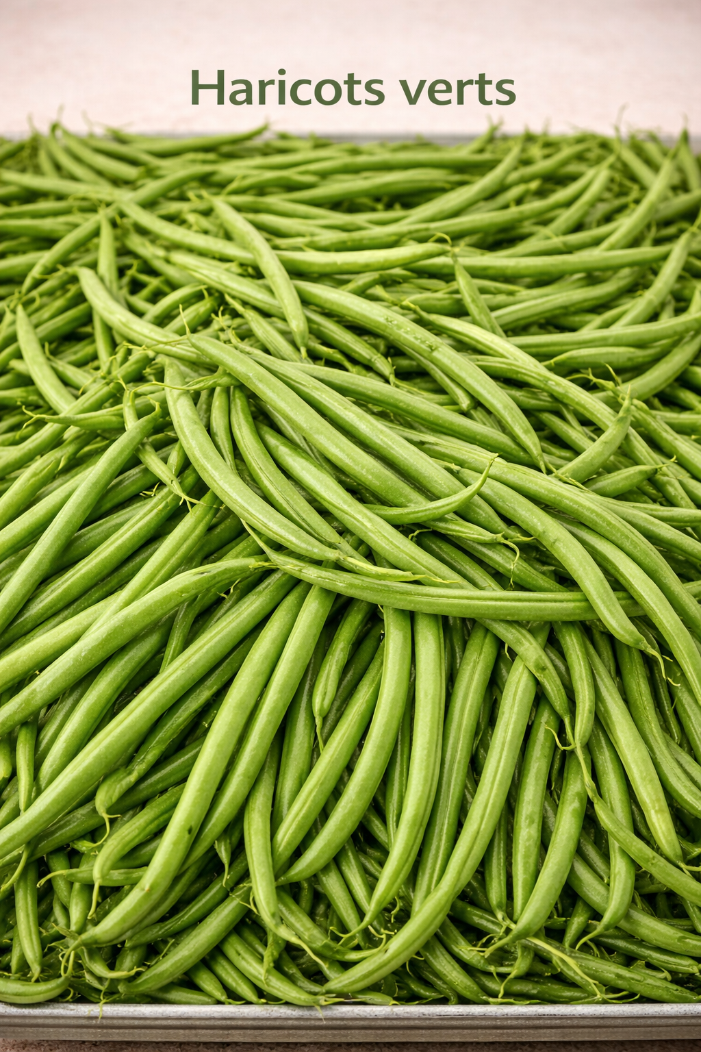 Haricots verts (500g) frais du marché de Rungis - Epicerie SIAM