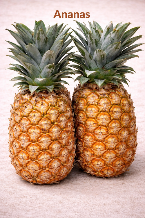 Ananas Pain de Sucre (1 pièce) - Vue 2 - Epicerie SIAM Rungis