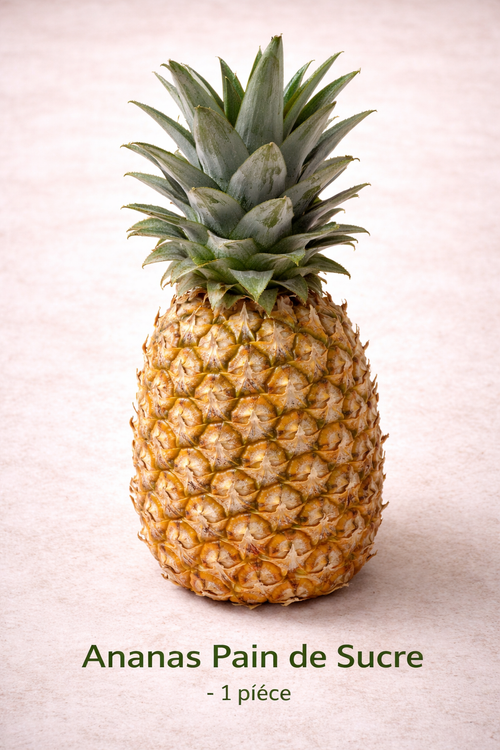 Ananas Pain de Sucre (1 pièce) frais du marché de Rungis - Epicerie SIAM
