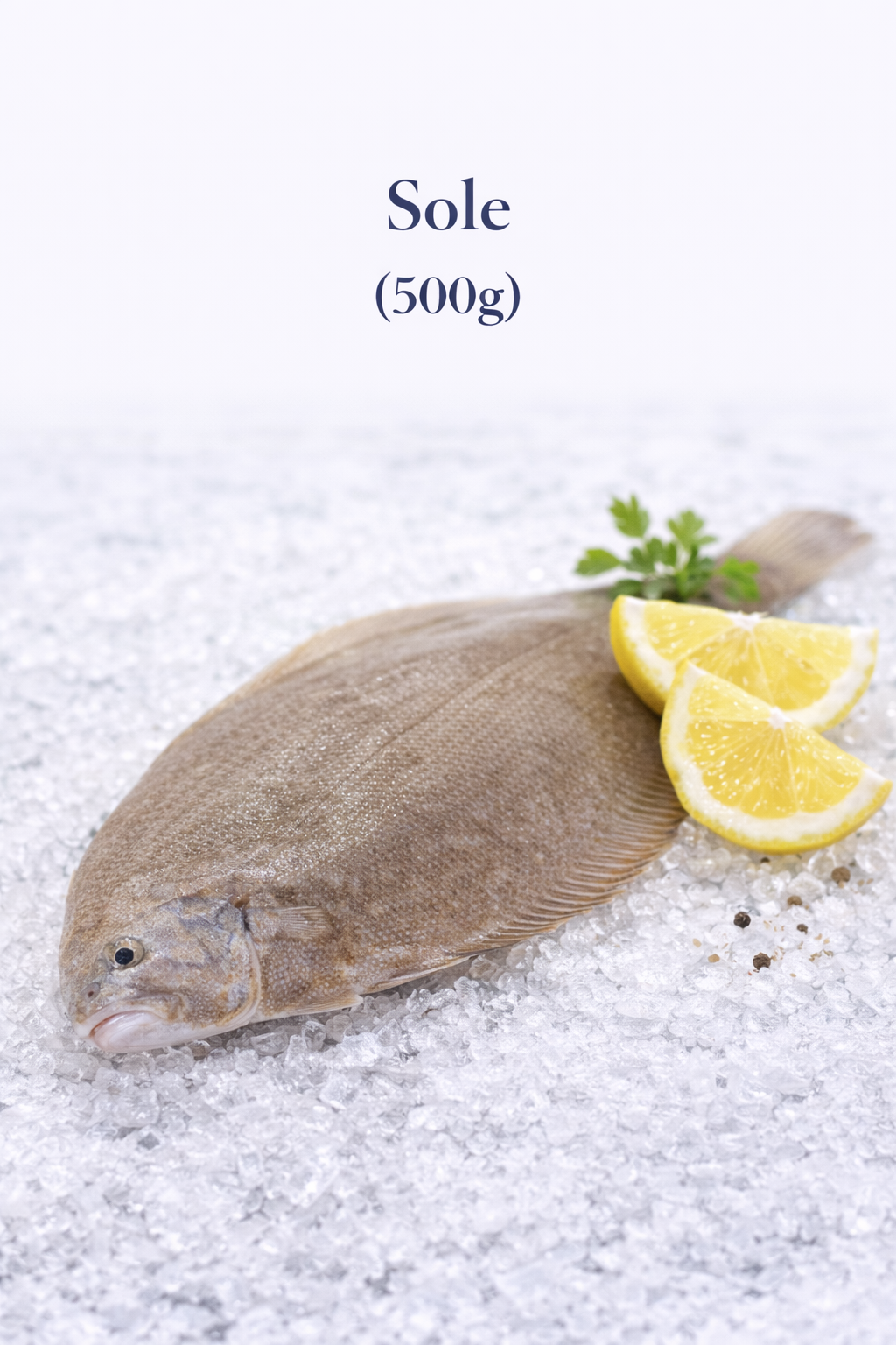 Sole (500g) frais du marché de Rungis - Epicerie SIAM