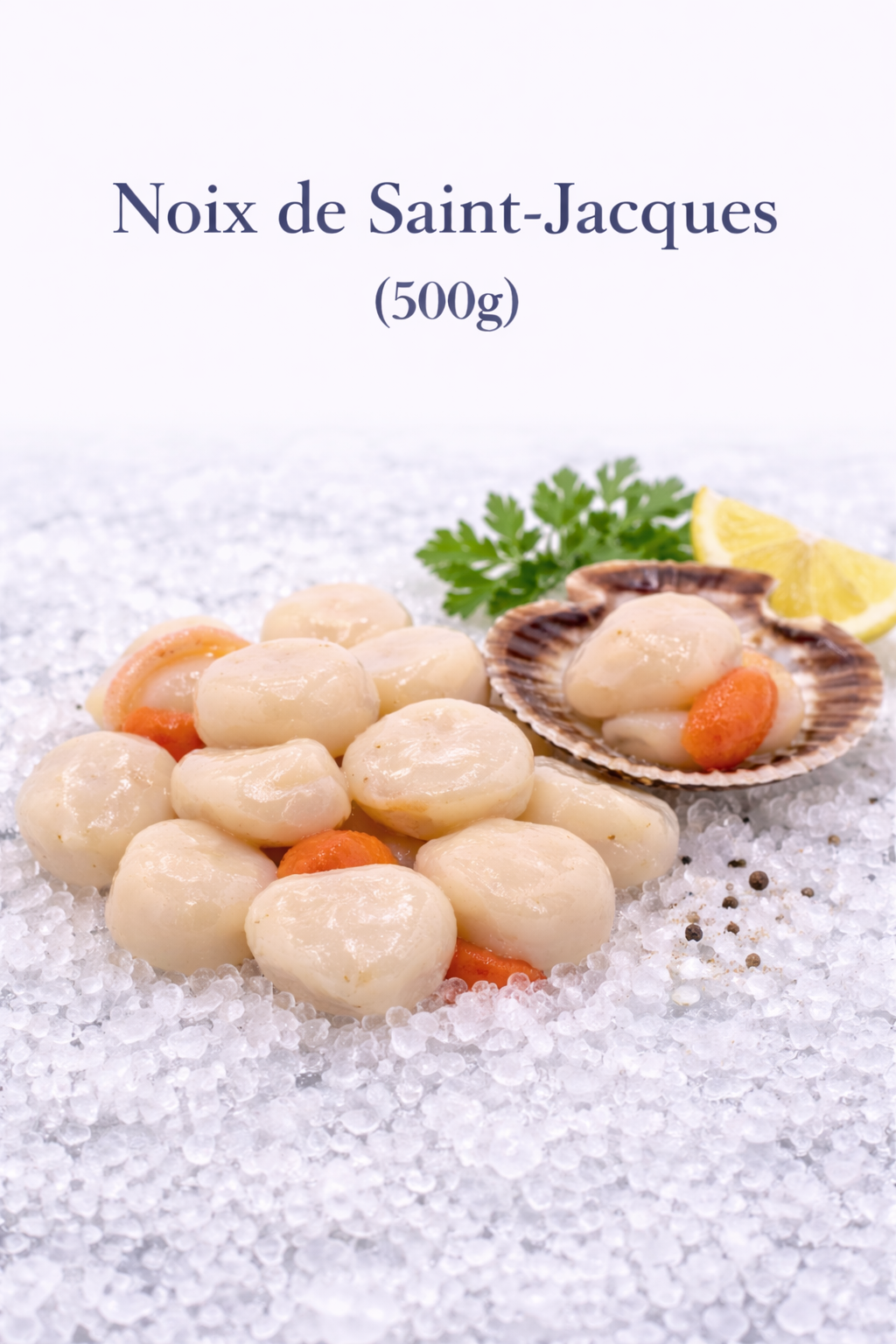 Noix de Saint-Jacques (500g) frais du marché de Rungis - Epicerie SIAM